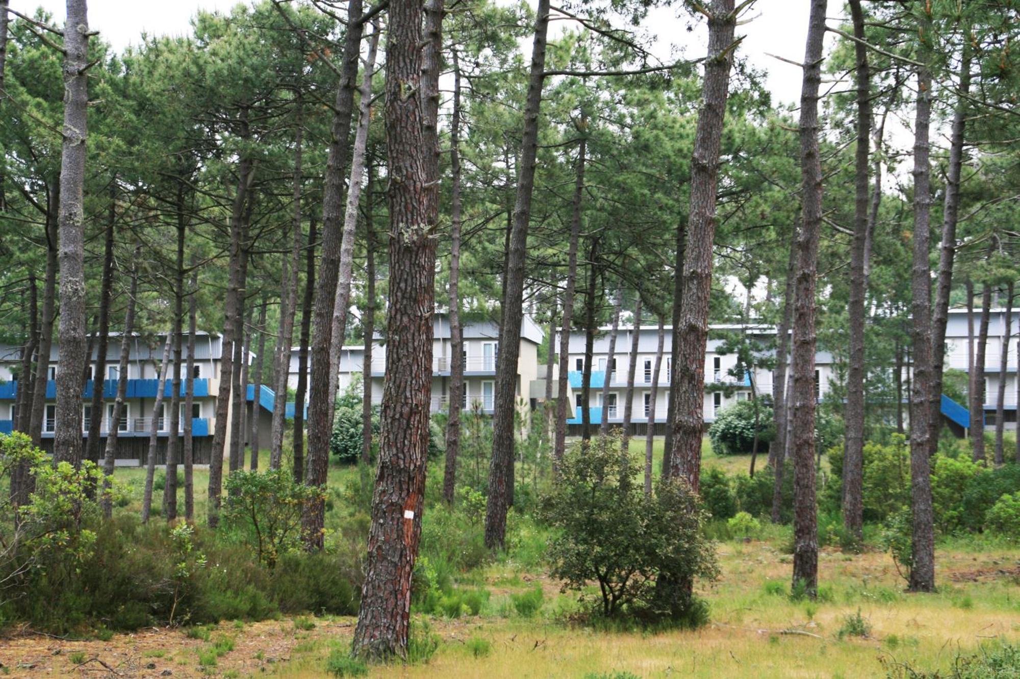 Village Vacances Les Dunes - Domaine De Bombannes Carcans Exterior foto